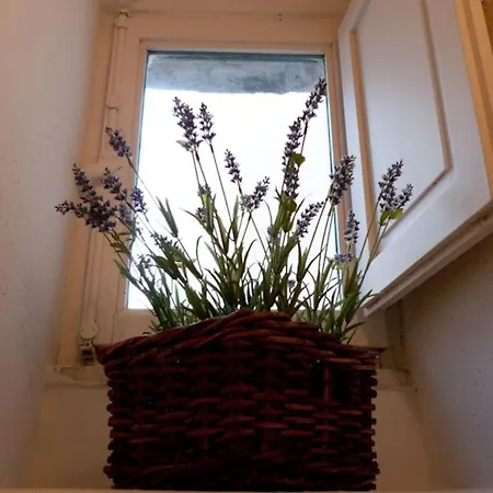 公寓 Cuore Di Pietra - Centro Storico *